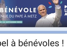 Même si vous pensez être un animal ou un fer à repasser vous pouvez être bénévole pour la venue du pape à Metz [Addendum]