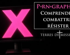 Terres de Mission Pornographie : Comprendre, combattre, résister