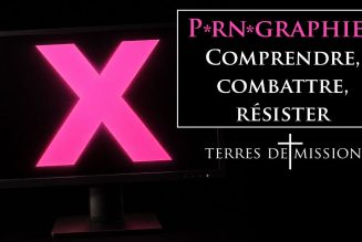Terres de Mission Pornographie : Comprendre, combattre, résister