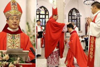 « Ils se demandent : qui est le pape en Chine ? Xi Jinping ou le pape Léon XIV ? »