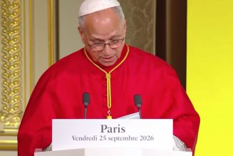 « La protection du droit à la vie constitue le fondement de tout autre droit humain »