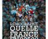 Le grand remplacement n&rsquo;existe pas… mais il sera réalisé dans 24 ans