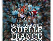 Le grand remplacement n&rsquo;existe pas… mais il sera réalisé dans 24 ans