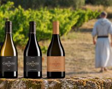 Foire aux Vins du Barroux jusqu’au 20 septembre