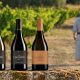 Foire aux Vins du Barroux jusqu’au 20 septembre