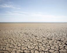 Aucune accélération significative des tendances à la sécheresse