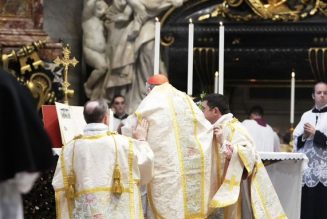 Pas de messe à Saint-Pierre de Rome pour le pèlerinage Ad Petri Sedem