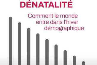 Idées reçues sur la natalité : surpopulation, immigration, pollution…