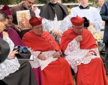Amsterdam: Les cardinaux Burke et Eijk au rosaire de réparation, avec la messe traditionnelle