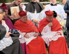 Amsterdam: Les cardinaux Burke et Eijk au rosaire de réparation, avec la messe traditionnelle