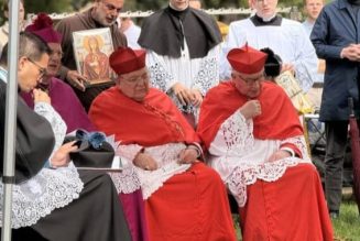 Amsterdam: Les cardinaux Burke et Eijk au rosaire de réparation, avec la messe traditionnelle