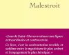 Prix Combourg-Chateaubriand en 2026, après le Prix Roger Nimier en 2025, pour le « Malestroit » de Jean de Saint-Chéron