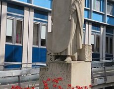 Saint Louis et le Prix Nobel de Médecine