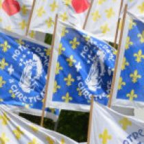 Illustration du profil de cedepse