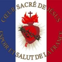 Illustration du profil de Cypcyp