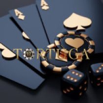 Illustration du profil de TortugaCsn
